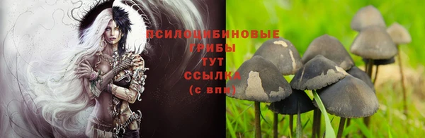мяу мяу кристалл Медвежьегорск